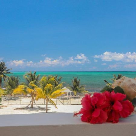 Treetops Hotel Caye Caulker Exteriér fotografie