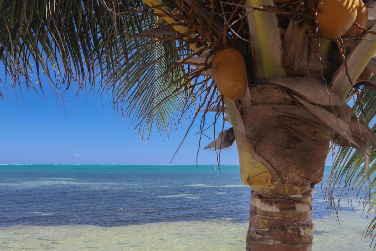 Treetops Hotel Caye Caulker Exteriér fotografie