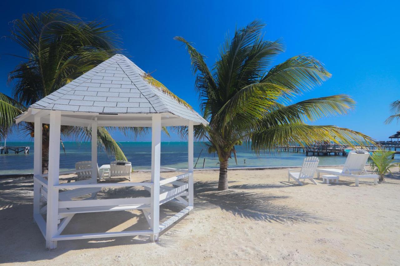 Treetops Hotel Caye Caulker Exteriér fotografie